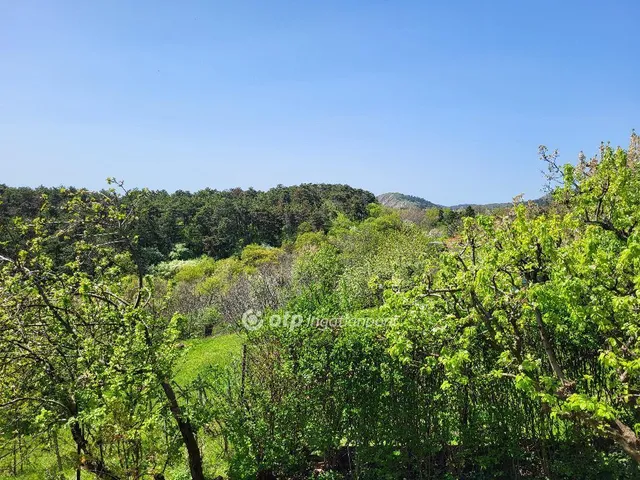 Eladó ház Budaörs 286 nm