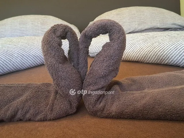 Eladó ház Siófok 287 nm