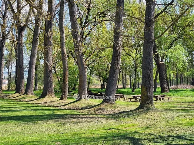 Eladó ház Tengőd 120 nm
