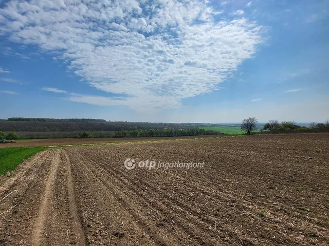 Eladó ház Tengőd 120 nm