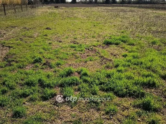 Eladó telek Balatonvilágos 1779 nm