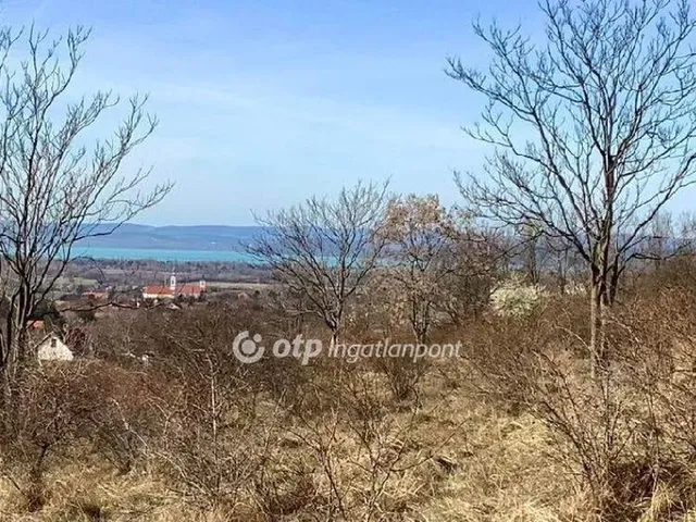 Eladó telek Kőröshegy 2991 nm