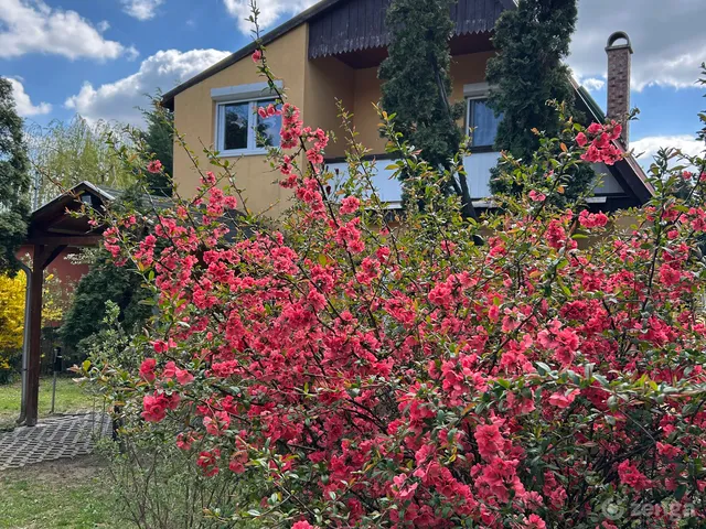 Eladó ház Budapest XI. kerület, Kőérberek 116 nm