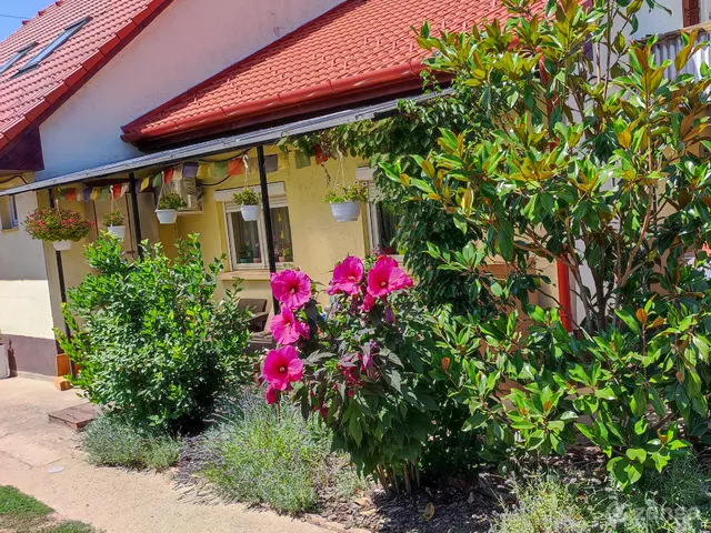 Eladó ház Isaszeg 161 nm