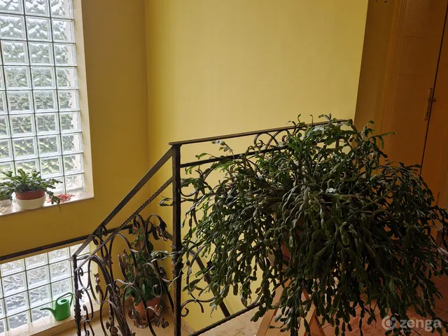 Eladó ház Győr, Bácsa 160 nm