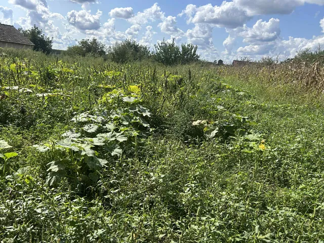 Eladó telek Somogysárd 1200 nm