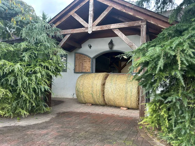 Eladó mezőgazdasági ingatlan Gyugy 20000 nm