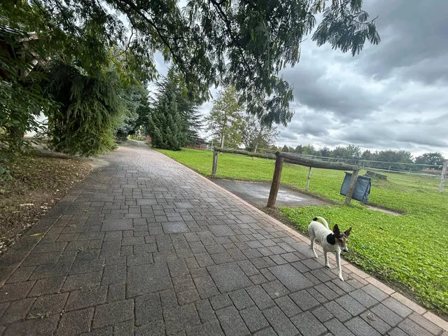 Eladó mezőgazdasági ingatlan Gyugy 20000 nm