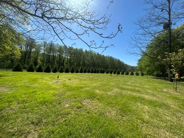 Eladó ház Bárdudvarnok 60 nm