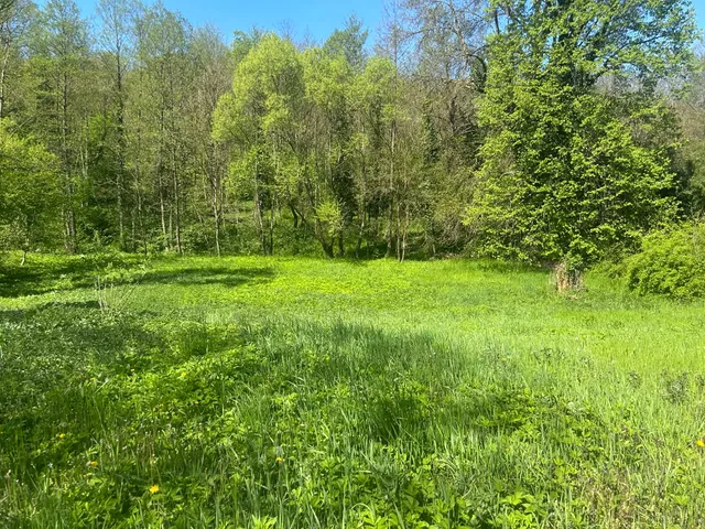 Eladó telek Bárdudvarnok 6700 nm