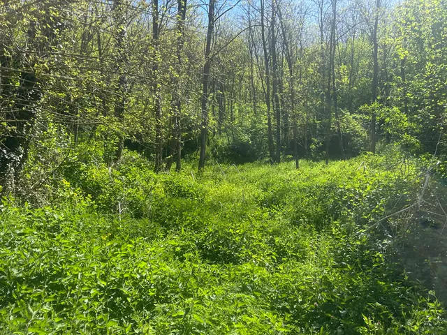 Eladó telek Bárdudvarnok 3400 nm