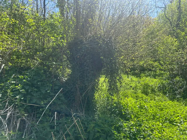 Eladó telek Bárdudvarnok 3400 nm