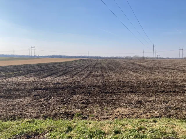 Eladó telek Szeged, Kiskundorozsma 10450 nm