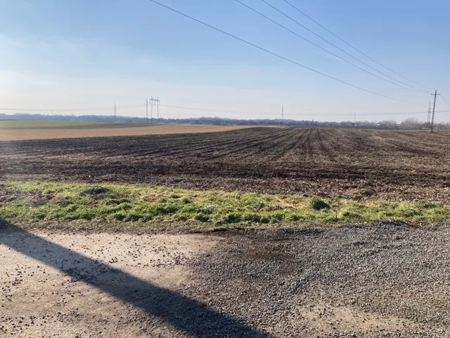 Eladó telek Szeged, Kiskundorozsma 10450 nm