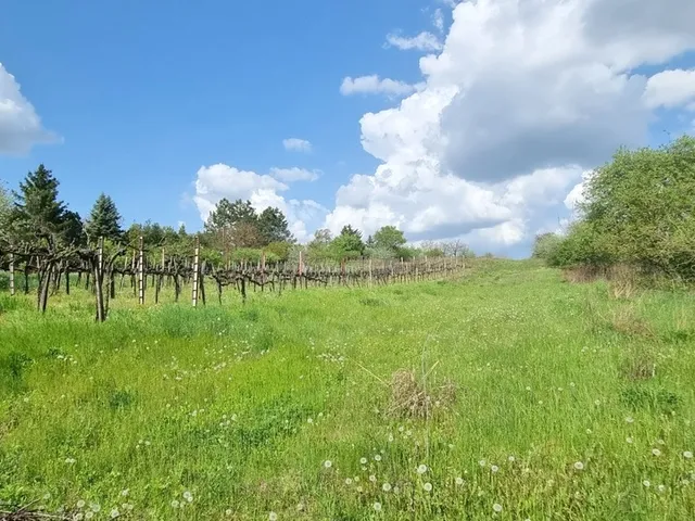 Eladó ház Bicske 38 nm