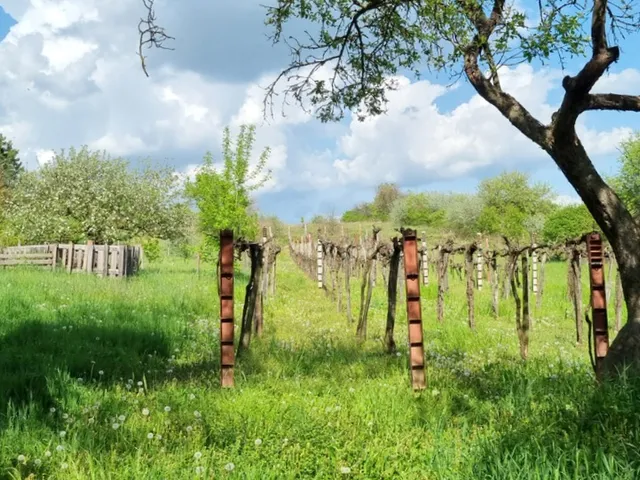 Eladó ház Bicske, középhegy 38 nm