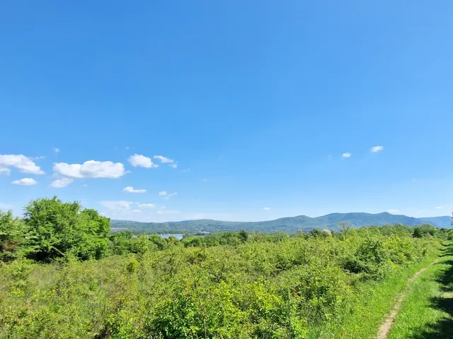 Eladó mezőgazdasági ingatlan Pilismarót 23008 nm