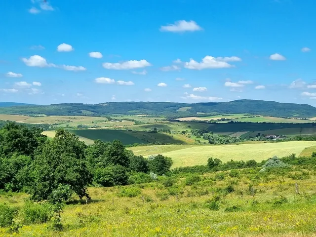 Eladó mezőgazdasági ingatlan Csabdi 115125 nm
