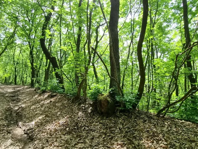 Eladó mezőgazdasági ingatlan Csabdi, Vasztély 115125 nm