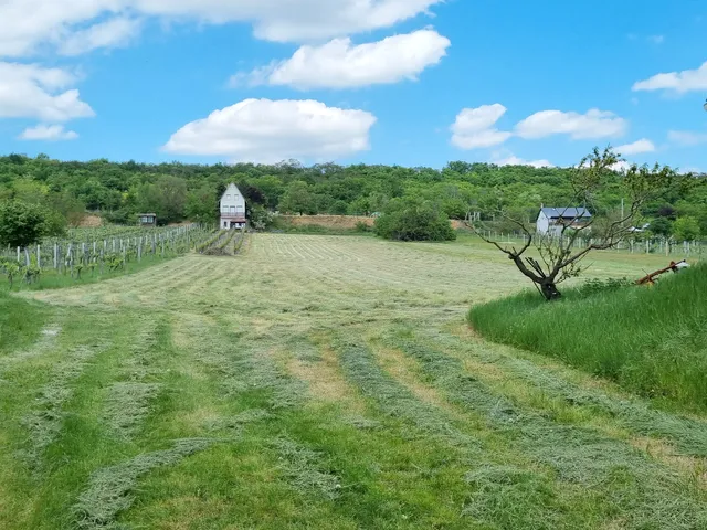 Eladó telek Mány 1249 nm