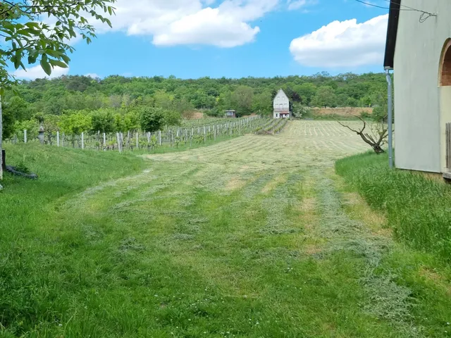 Eladó telek Mány, alsóőrs puszta 1249 nm