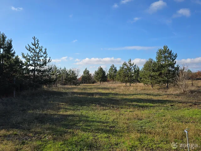 Eladó telek Érd, Fenyves-Parkváros 1079 nm