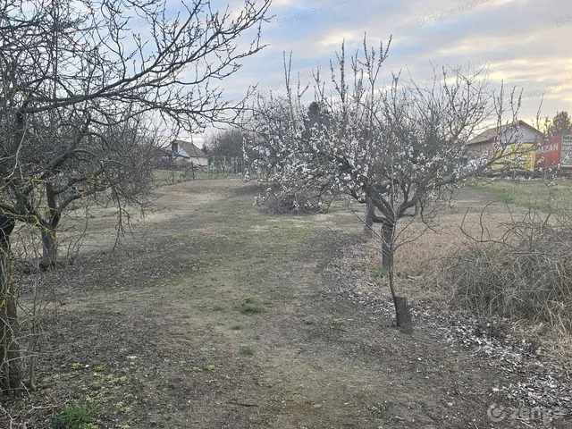 Eladó ház Naszály 96 nm