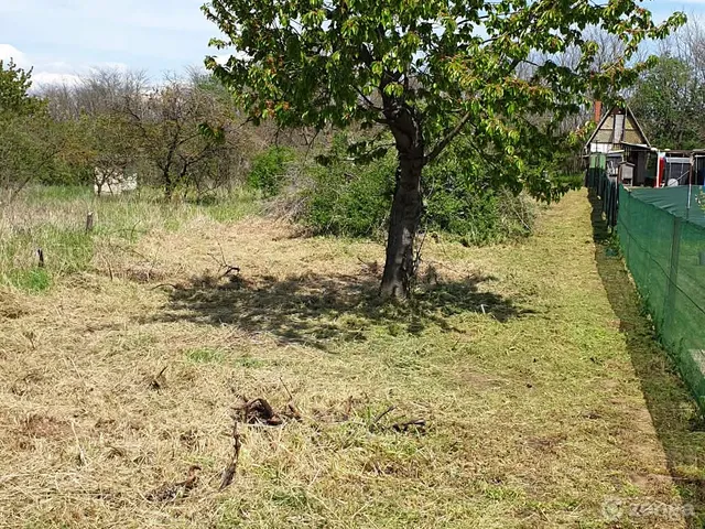 Eladó mezőgazdasági ingatlan Kecskéd 1806 nm