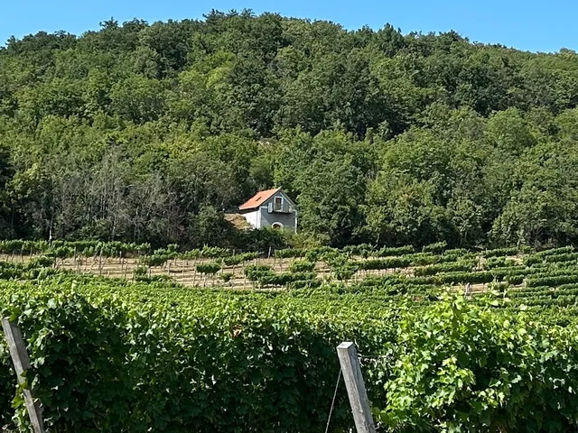 Eladó ház Balatonszőlős 60 nm