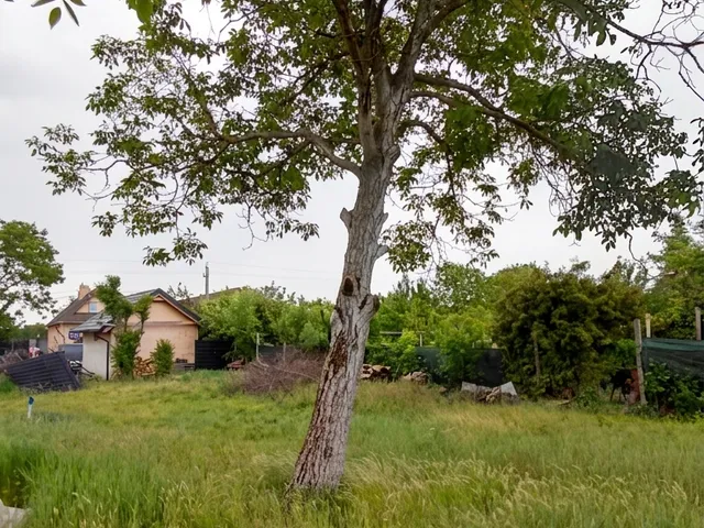 Eladó telek Székesfehérvár, Feketehegy 571 nm