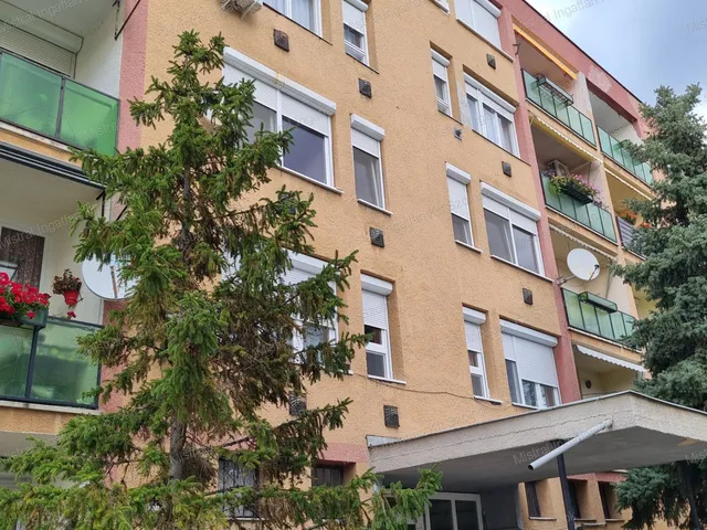 Eladó lakás Martfű 54 nm