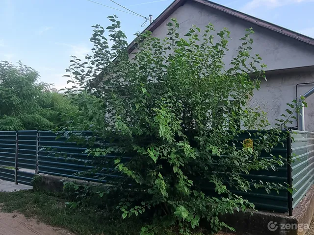 Eladó ház Dabas, Dabasiszőlők 65 nm