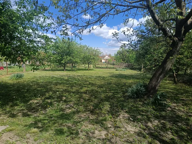 Eladó ház Sellye, Ady Endre utca 80 nm