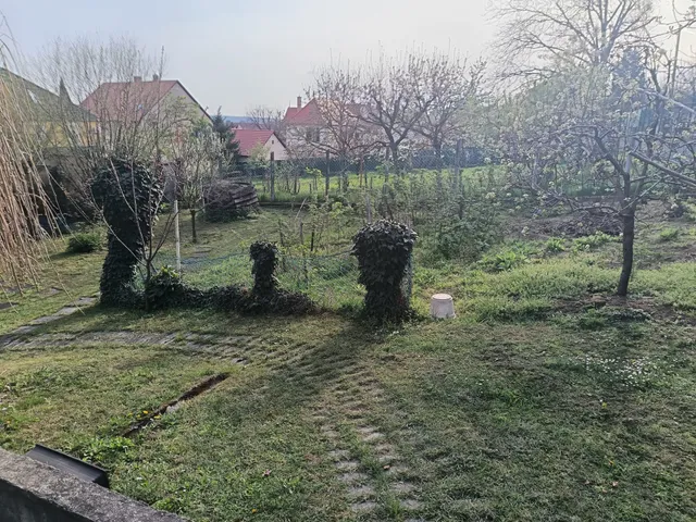 Eladó ház Pécs, Egyetemváros, Tiborc utca 188 nm