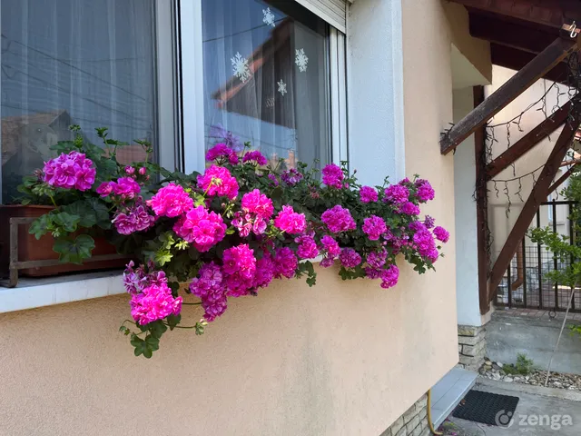 Eladó ház Pilisvörösvár 125 nm