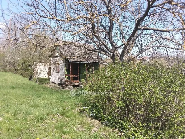 Eladó mezőgazdasági ingatlan Balatonfőkajár 2103 nm