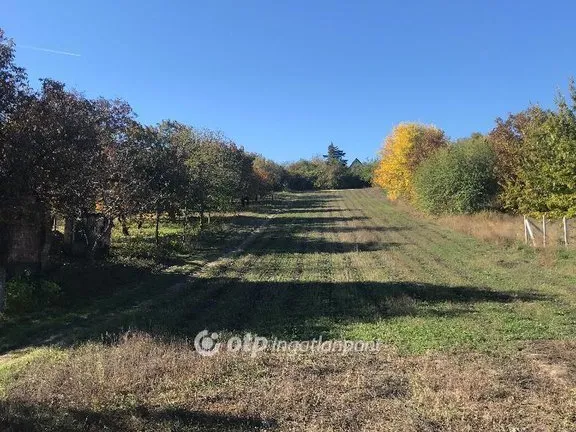 Eladó telek Pázmánd 4049 nm