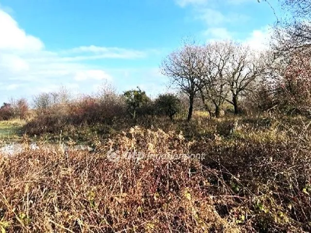 Eladó telek Tés 19443 nm