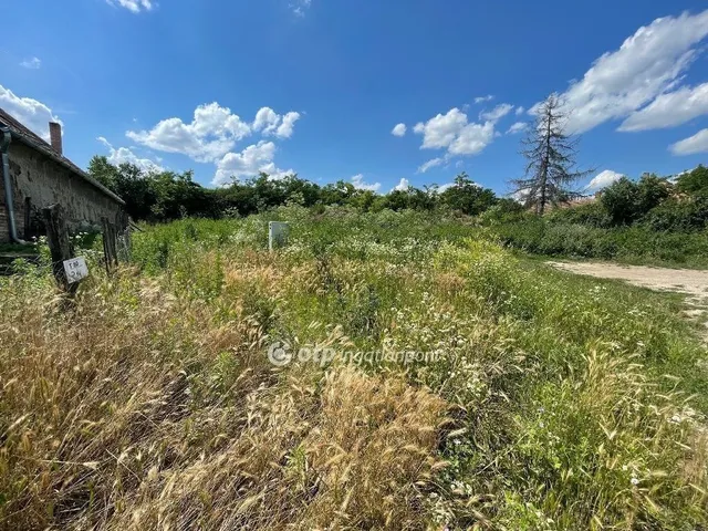 Eladó telek Iváncsa 1516 nm