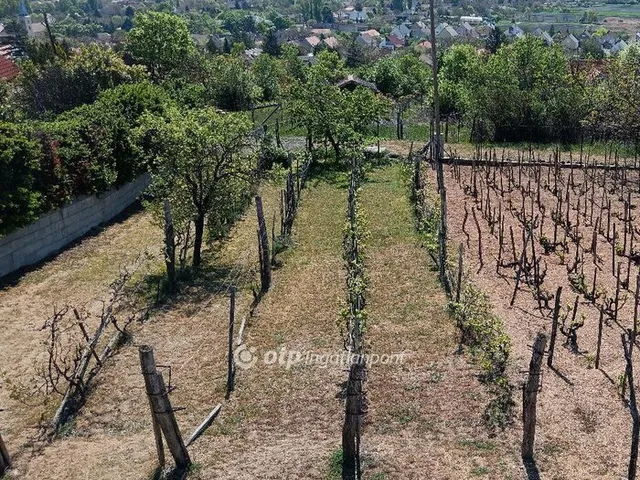 Eladó telek Pákozd 845 nm