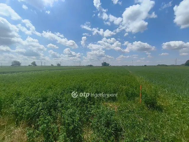 Eladó telek Pusztaszabolcs 500 nm
