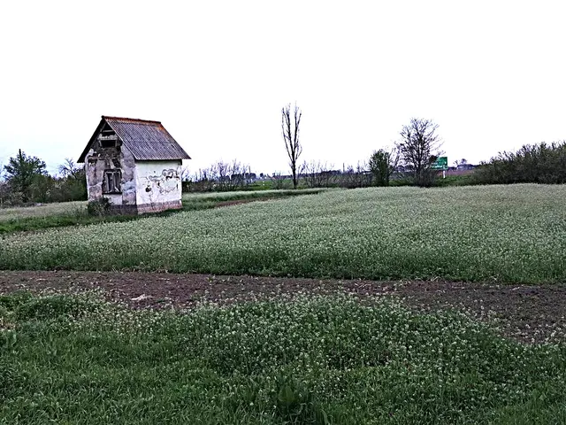 Eladó üdülő és hétvégi ház Törökszentmiklós, Alvég, Zártkert Szolnoki út 10622 15 nm