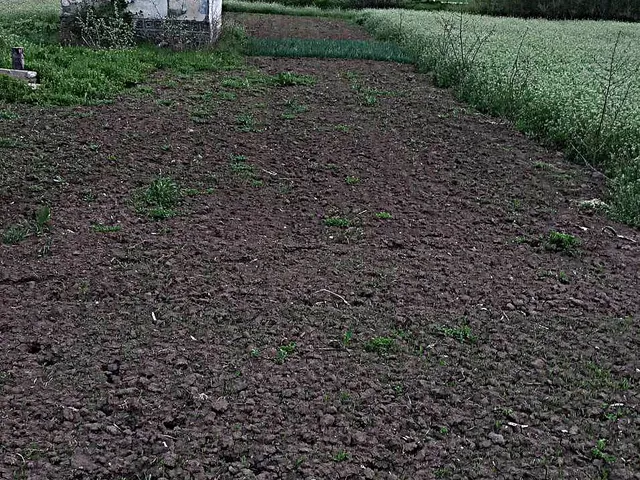 Eladó üdülő és hétvégi ház Törökszentmiklós, Alvég, Zártkert Szolnoki út 10622 15 nm