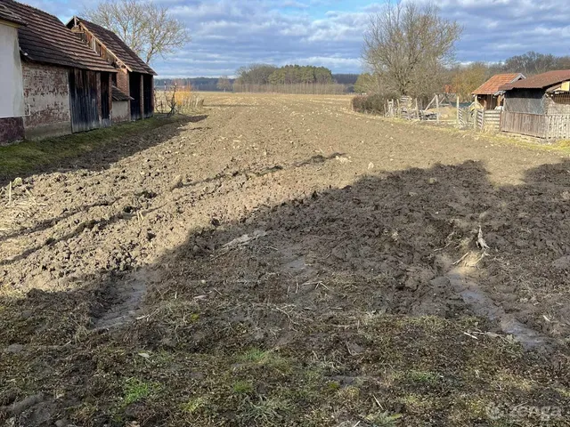 Eladó telek Csákánydoroszló 5545 nm