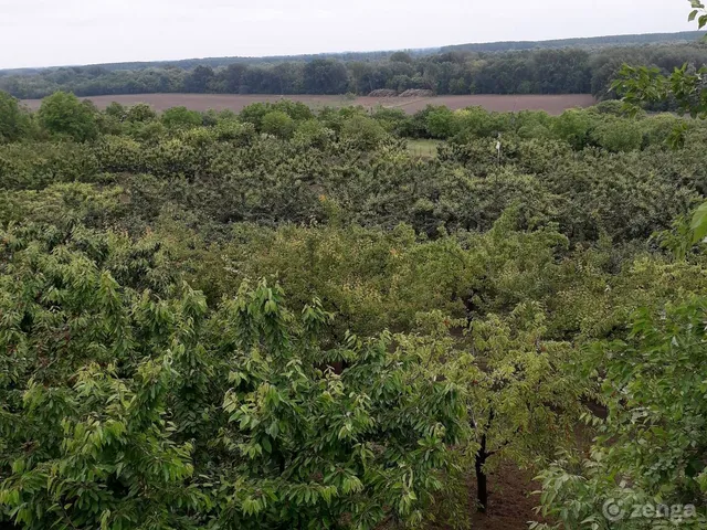 Eladó ház Rácalmás, Baboskertilejáró 10. 160 nm