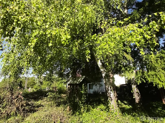 Eladó telek Budakeszi, Máriamakk, Törökvész u. 1930 nm