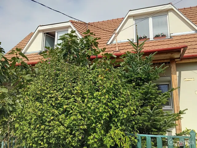 Eladó ház Vác, Deákvár 283 nm