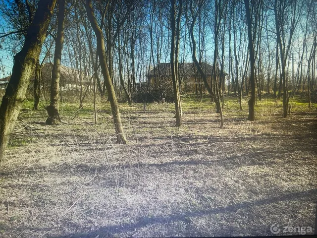 Eladó telek Tiszafüred 2181 nm