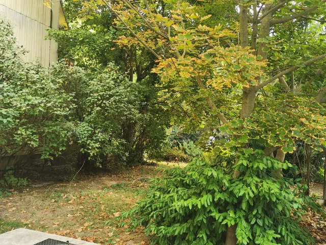 Eladó lakás Budapest XI. kerület, Kőérberek, Löveg utca 52 nm