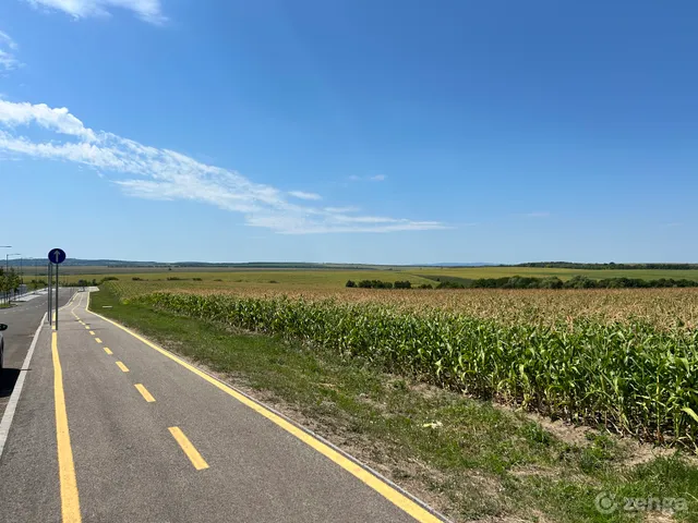 Eladó mezőgazdasági ingatlan Biatorbágy 47000 nm